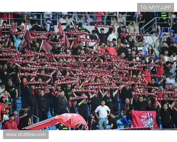 泰州队苏超夺冠引爆全城热潮多景区宣布面向全球游客免费开放 泰州队苏超夺冠引爆全城热潮多景区宣布面向全球游客免费开放